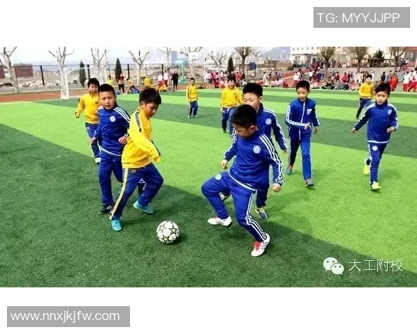 在绿茵场上舞动的诗篇与心灵的激情交融之美 在绿茵场上舞动的诗篇与心灵的激情交融之美